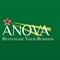 Anova logo